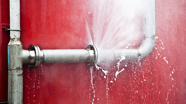 Best Emergency Water Extraction Services in Westmont, CA